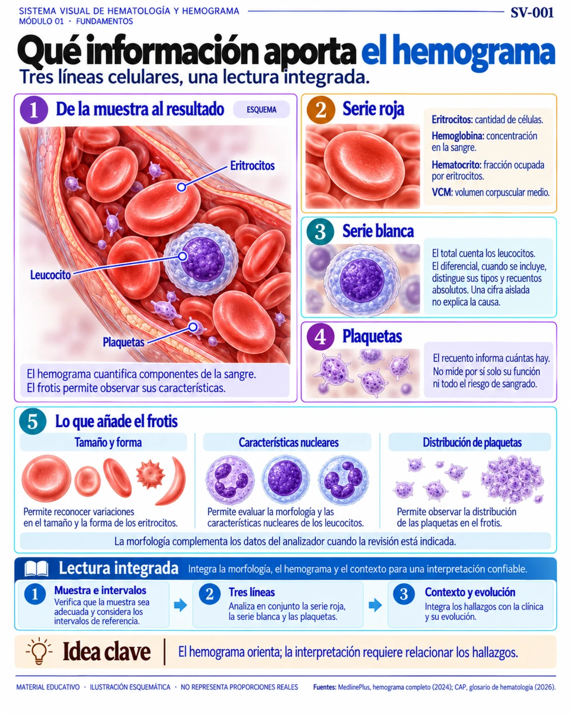 Qué información aporta el hemograma
